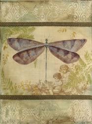 Dragonfly Among The Ferns - A | Obraz na stenu