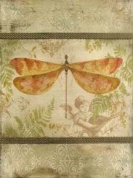 Dragonfly Among The Ferns - C | Obraz na stenu