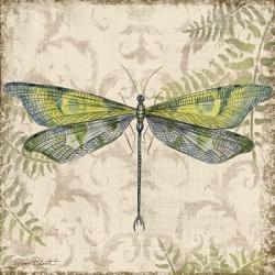 Dragonfly Daydreams - C | Obraz na stenu