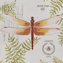 Botanical Dragonfly B | Obraz na stenu