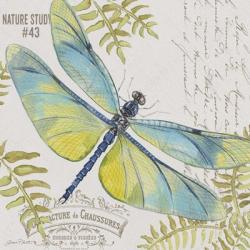 Botanical Dragonfly D | Obraz na stenu
