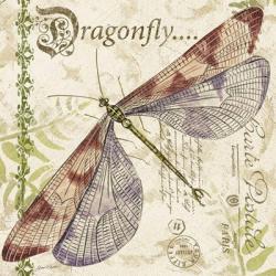 Dragonfly Daydreams B | Obraz na stenu