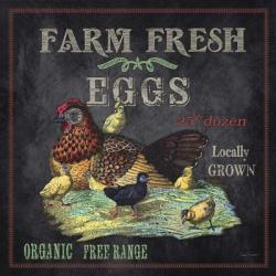 Farm Fresh Eggs | Obraz na stenu