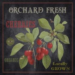 Orchard Fresh Cherries | Obraz na stenu