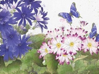 Florals And Butterflies | Obraz na stenu