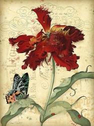 French Florals 1 | Obraz na stenu