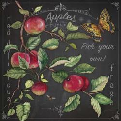 Apples | Obraz na stenu
