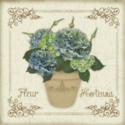 Fleur Hortensia 1 | Obraz na stenu