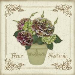 Fleur Hortensia 2 | Obraz na stenu