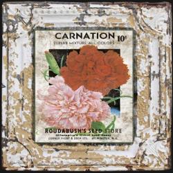 Tin Tile - Carnation | Obraz na stenu
