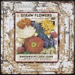 Tin Tile - Straw Flowers | Obraz na stenu