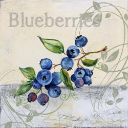 Tutti Fruiti Blueberries | Obraz na stenu