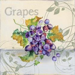 Tutti Fruiti Grapes | Obraz na stenu