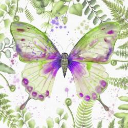 Botanical Butterfly Beauty 3 | Obraz na stenu