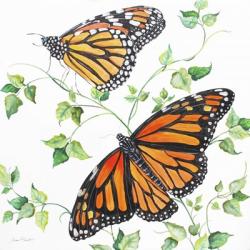 Summertime Butterflies B | Obraz na stenu