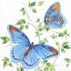 Summertime Butterflies C | Obraz na stenu