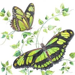 Summertime Butterflies D | Obraz na stenu