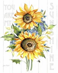 Sunshine Sunflowers A | Obraz na stenu