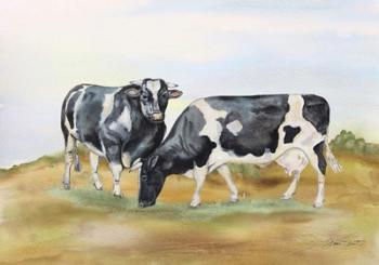 Farm Animal In Pasture B | Obraz na stenu