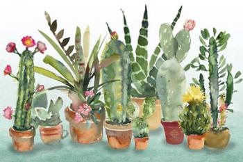 Beautiful Cactus Garden | Obraz na stenu