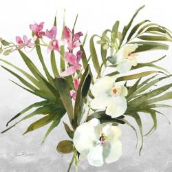 Beautiful Orchids A | Obraz na stenu