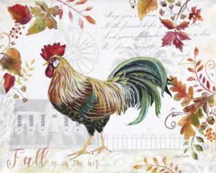 Seasonal Rooster 11 | Obraz na stenu