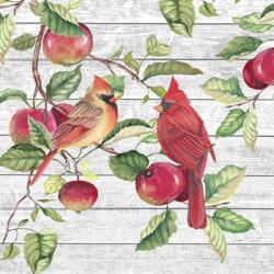Fall Cardinals A | Obraz na stenu
