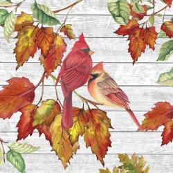 Fall Cardinals B | Obraz na stenu