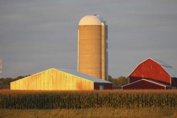 Barn & Silo | Obraz na stenu