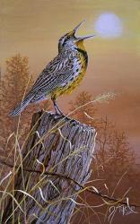 Meadowlark Painting | Obraz na stenu