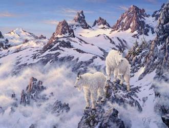 Among The Clouds - Mtn. Goat | Obraz na stenu