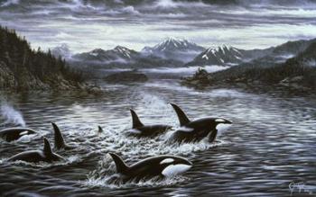 Whales | Obraz na stenu