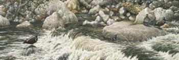 Swift Water | Obraz na stenu