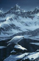 In The Land Of Ice And Snow | Obraz na stenu