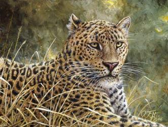 Leopard Portrait | Obraz na stenu
