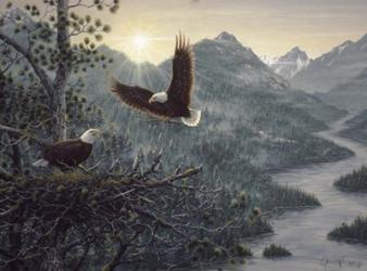 Eagles Nest | Obraz na stenu