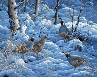 Winter Covey | Obraz na stenu
