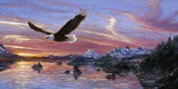 Silent Wings Of Freedom | Obraz na stenu