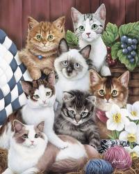Cuddly Kittens | Obraz na stenu
