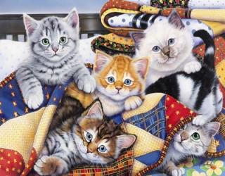 Cozy Kittens | Obraz na stenu