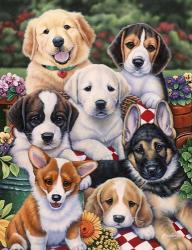 Garden Puppies | Obraz na stenu