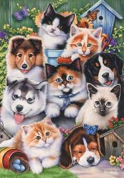 Kittens & Puppies In The Garden | Obraz na stenu
