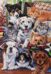 Country Pups and Kittens II | Obraz na stenu