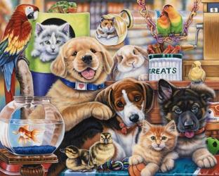 Pet Shop | Obraz na stenu