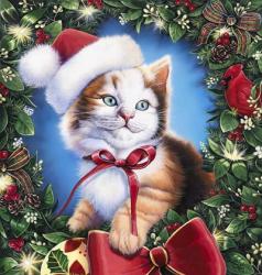 Christmas Kitty | Obraz na stenu