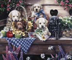 Five Puppies | Obraz na stenu