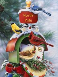 North Pole | Obraz na stenu