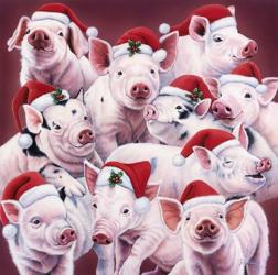 Christmas Piggies | Obraz na stenu