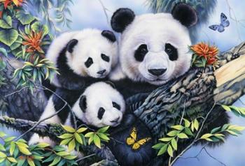 Lovely Pandas | Obraz na stenu