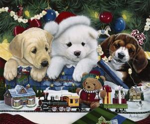 Curious Christmas Pups | Obraz na stenu